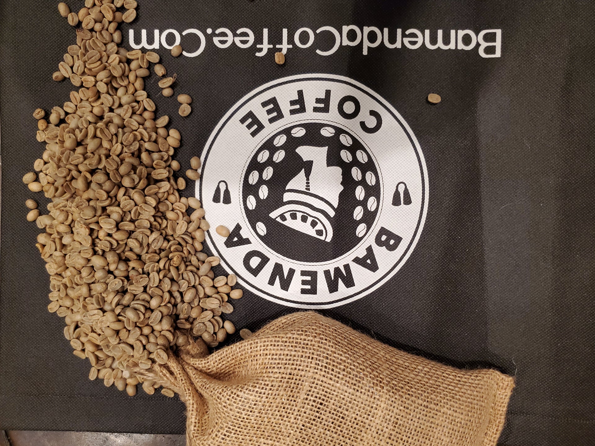 Green Coffee Beans, 100% Arabica (5 LBS, 3 LBS, 1LBS, UnRoasted) - Bamenda Coffee